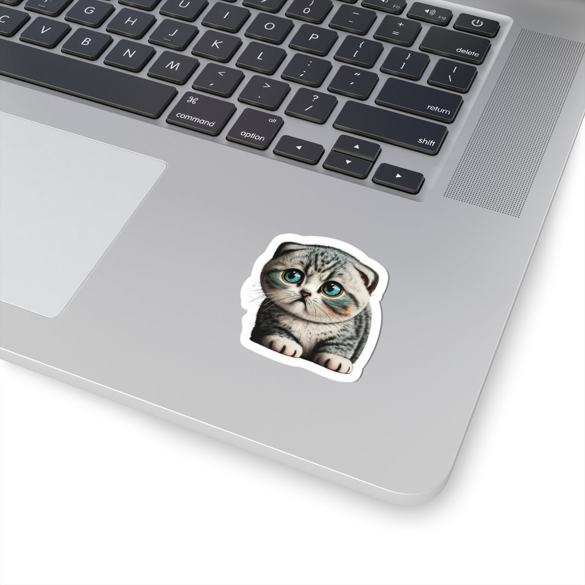 Kiss-Cut Sticker of cute funny cat kitten  for your collection