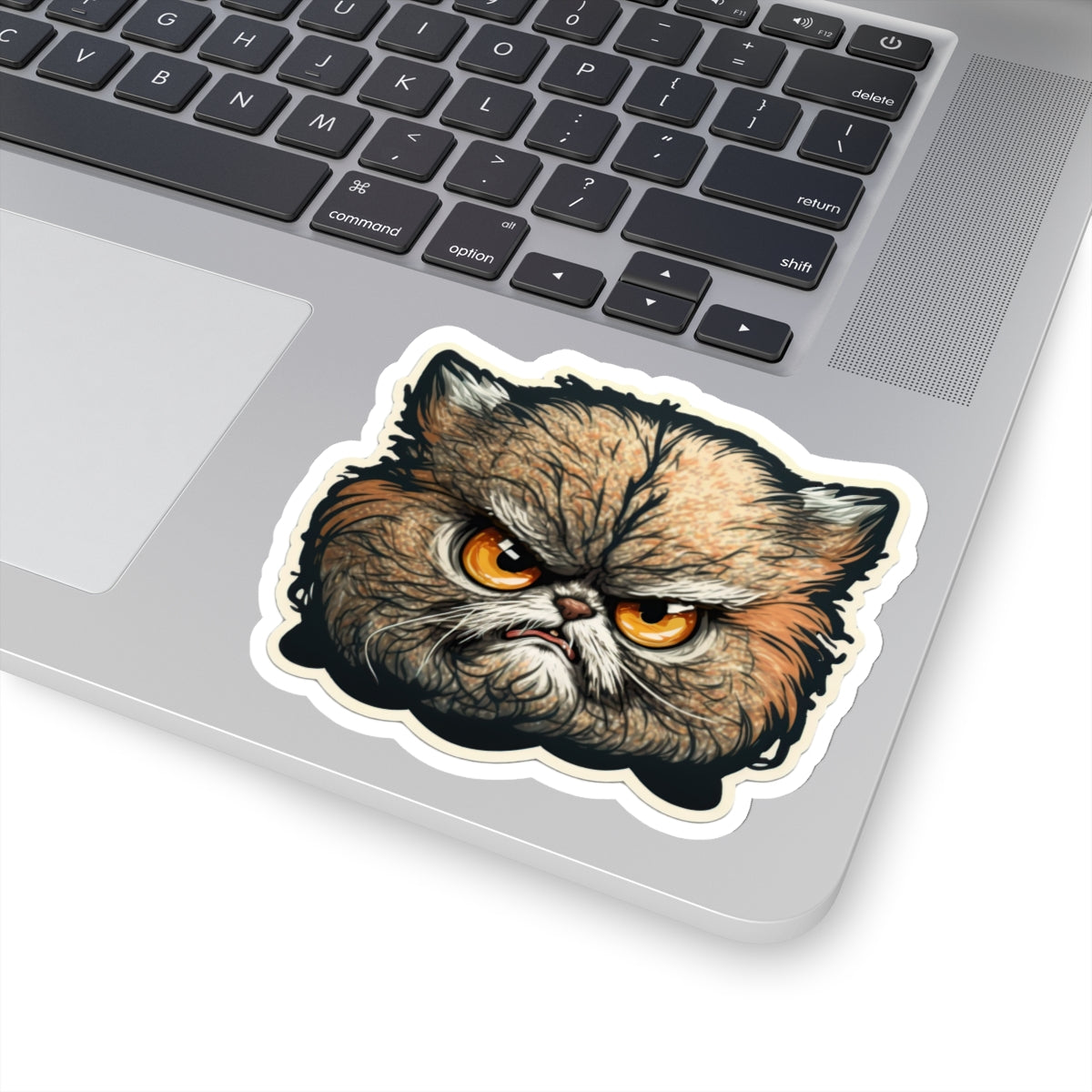 Kiss-Cut Sticker of cute funny angry cat kitten for your collection