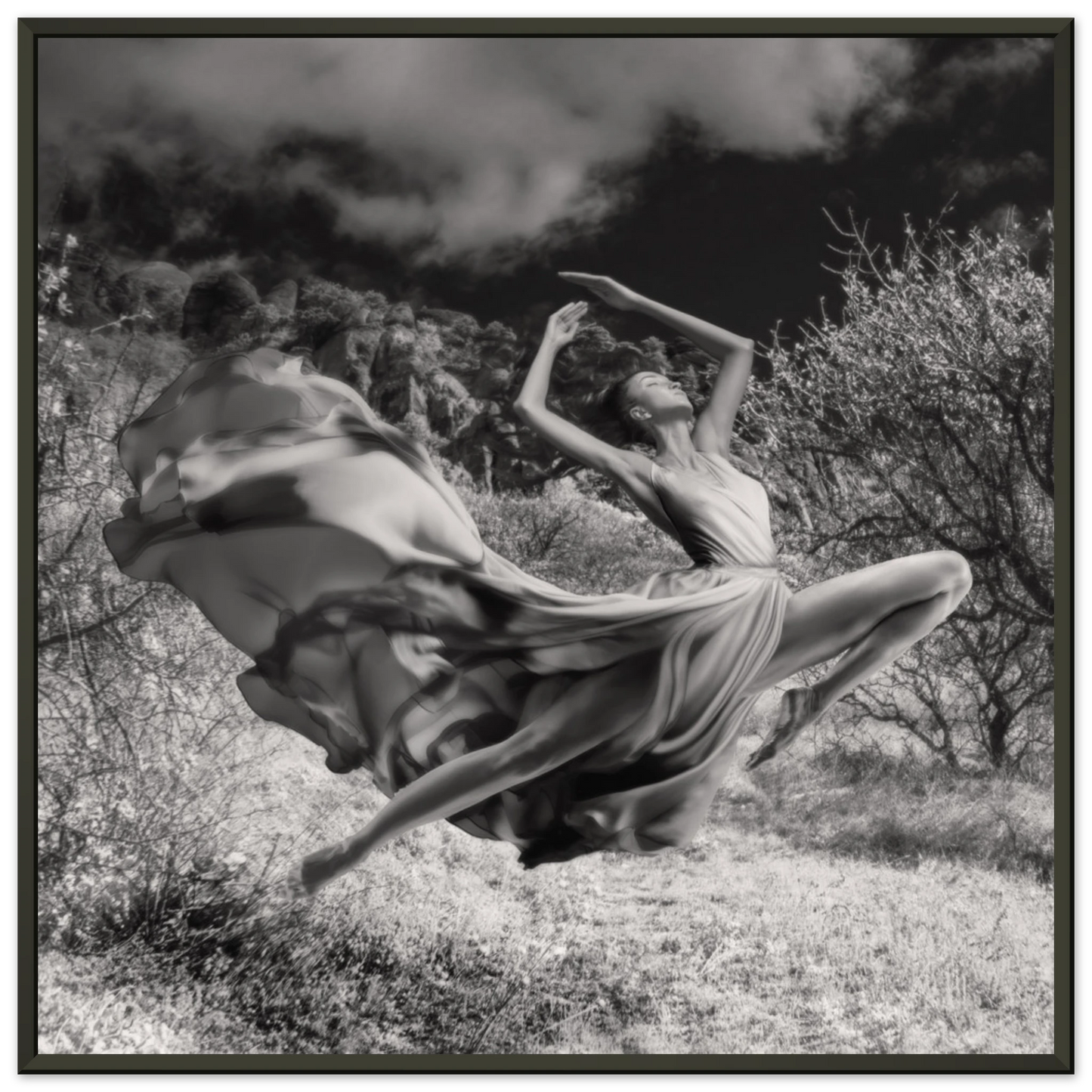 70f4addd-07d7-4217-a281-6de112e98cc0