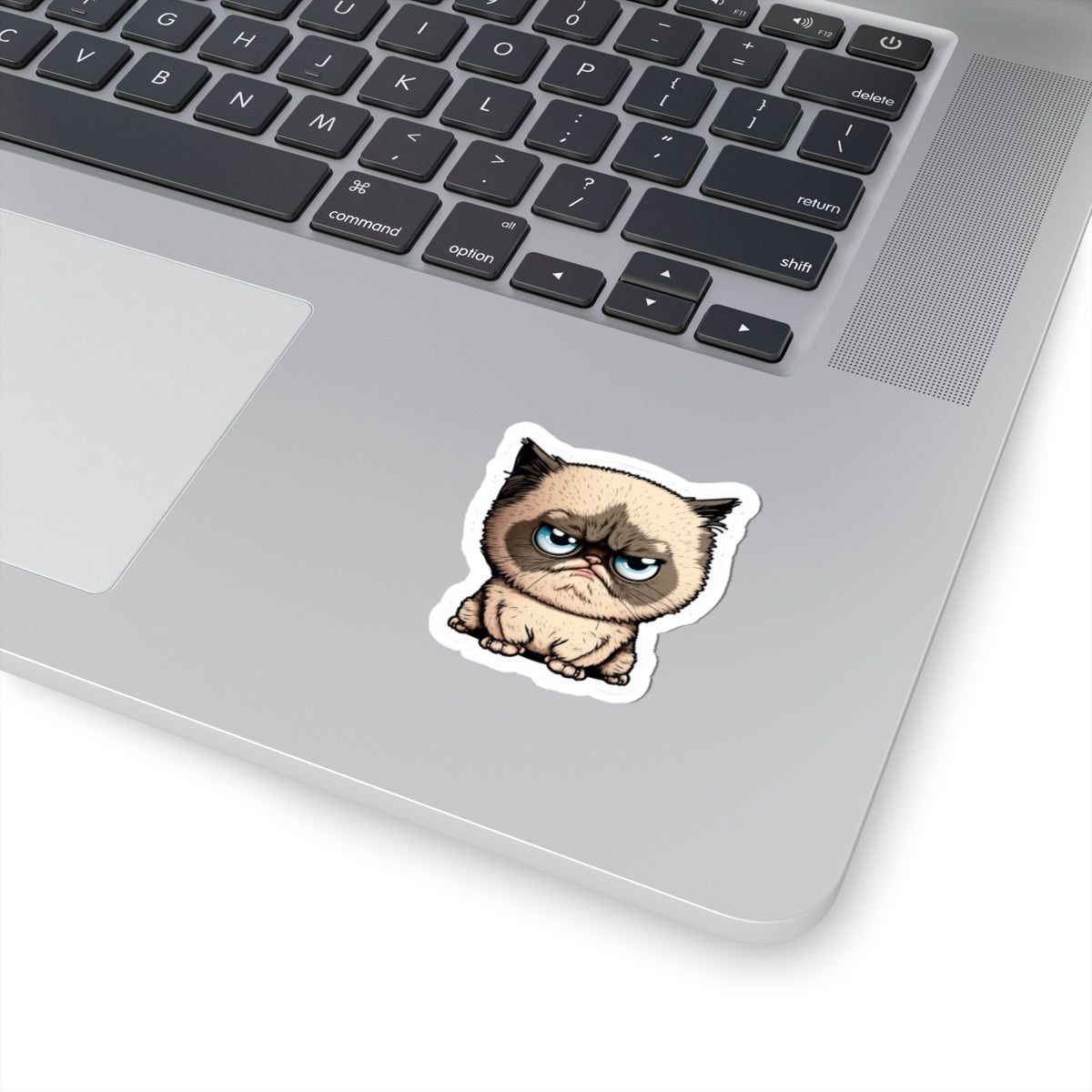 Kiss-Cut Sticker of cute funny cat kitten for your collection