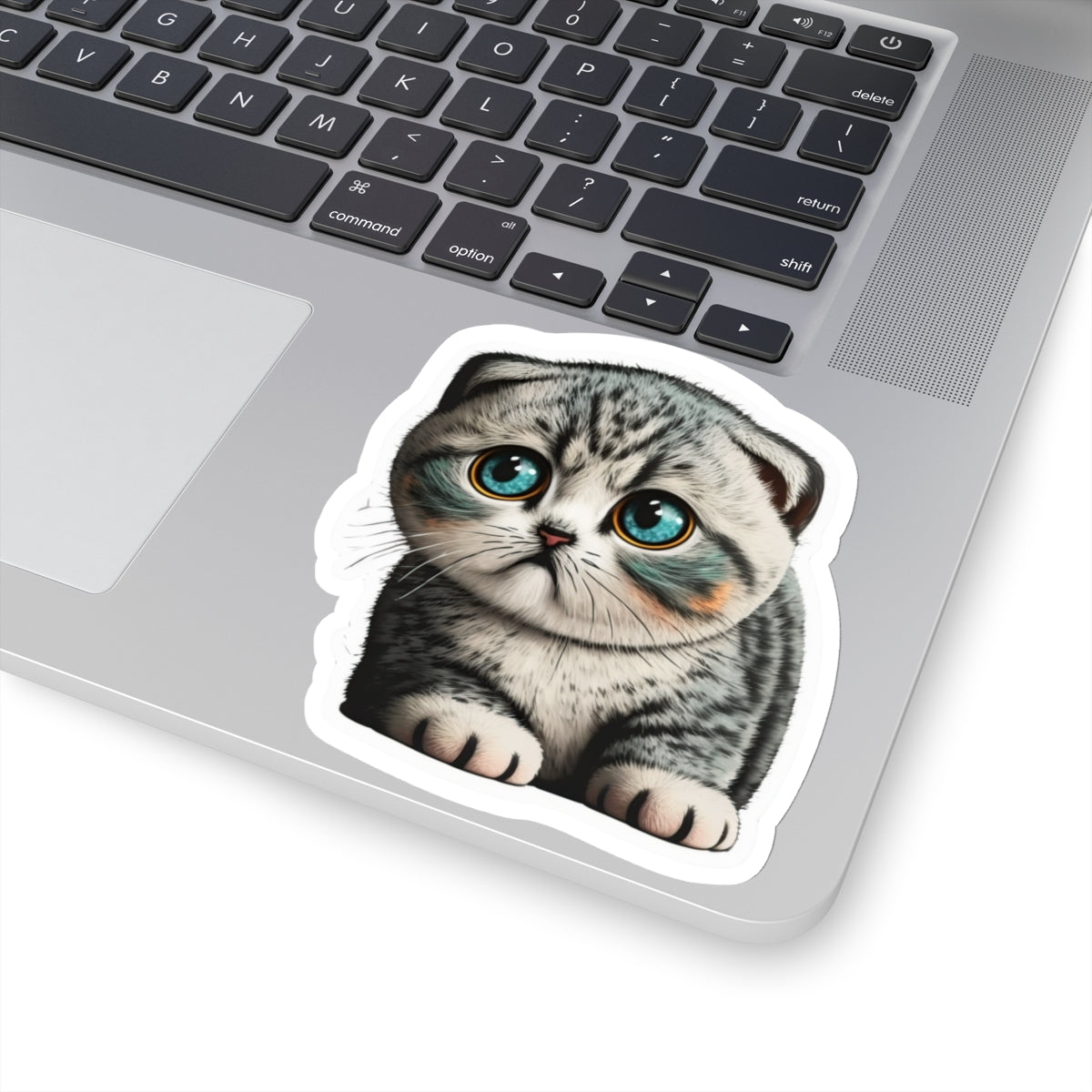 Kiss-Cut Sticker of cute funny cat kitten  for your collection