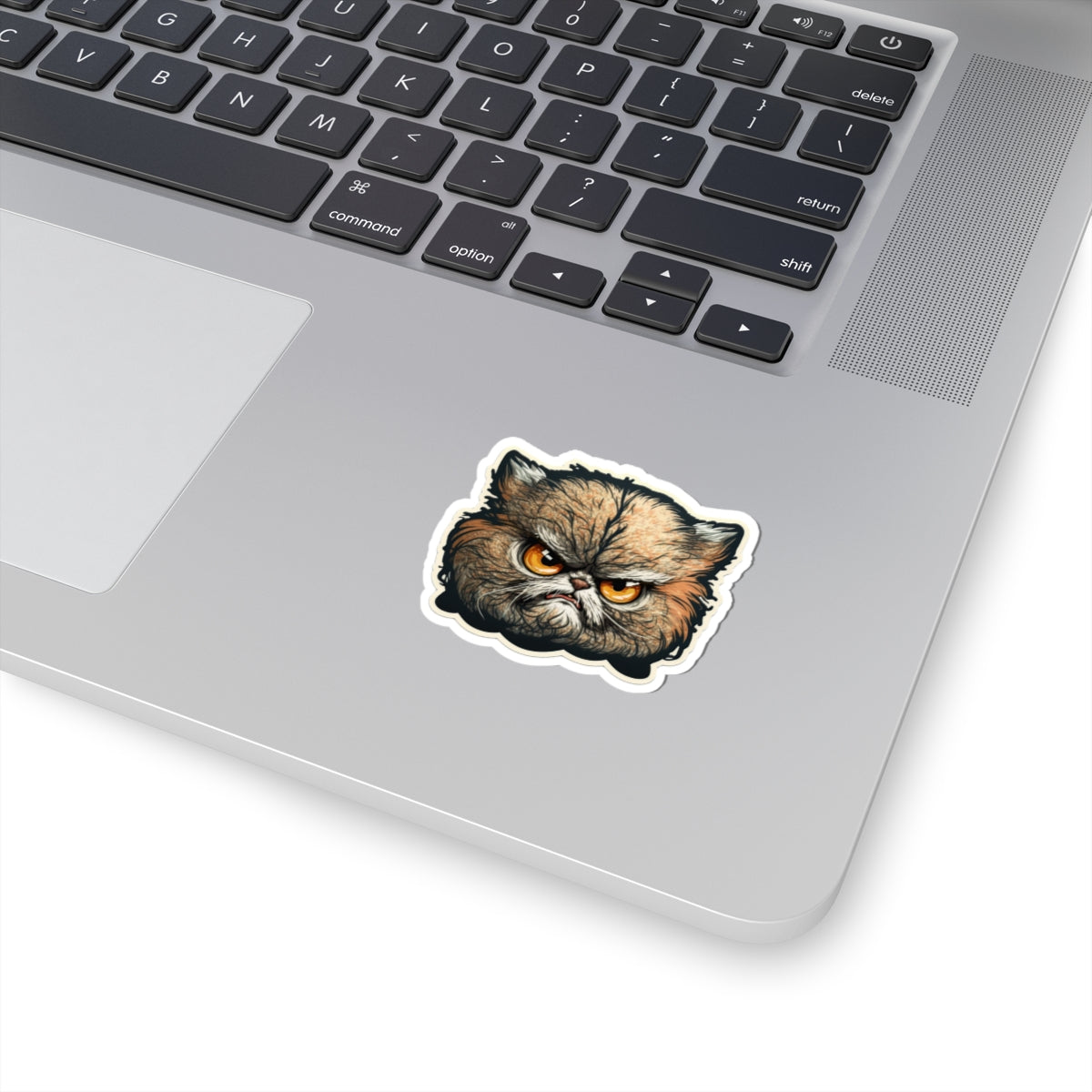Kiss-Cut Sticker of cute funny angry cat kitten for your collection