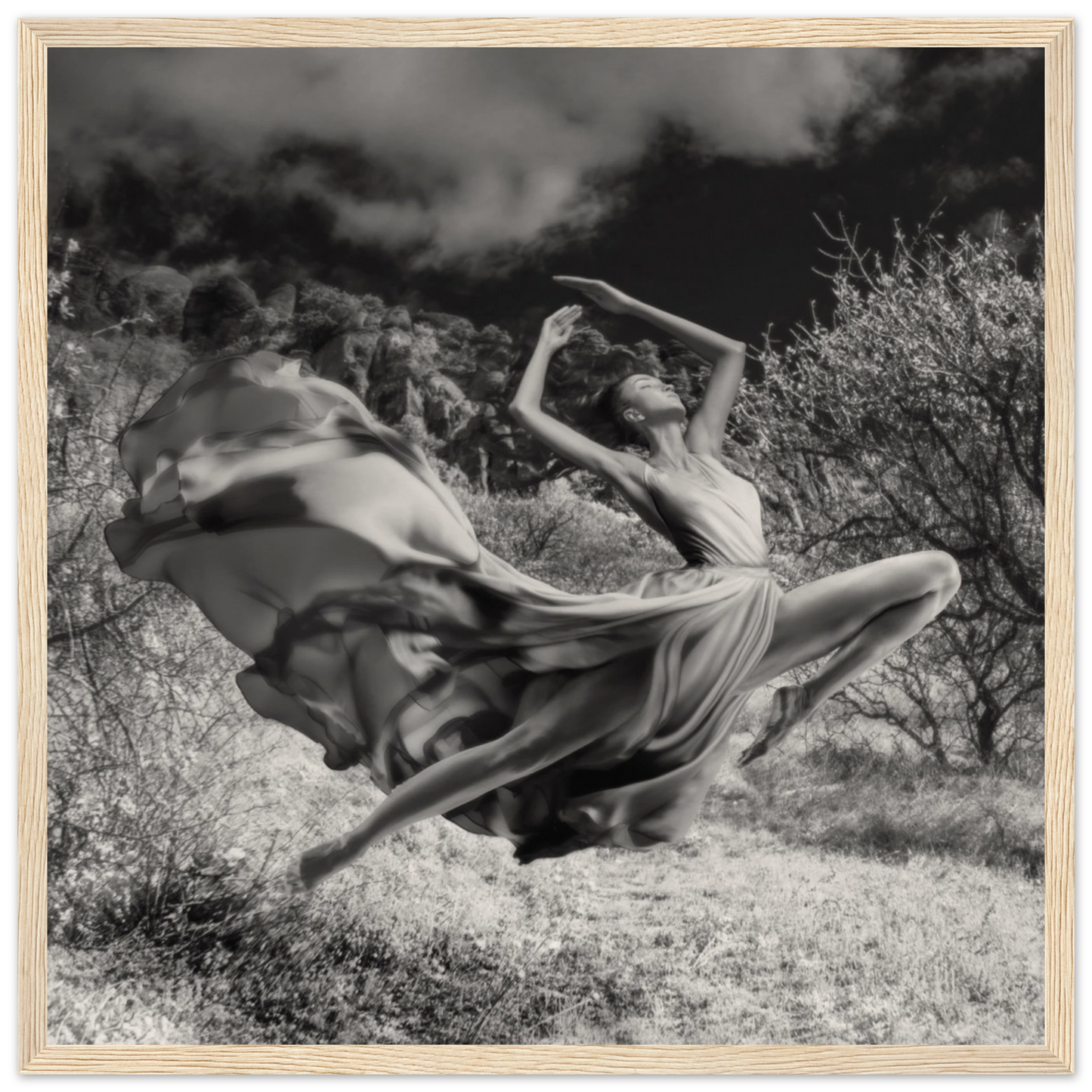 7206ab2c-436f-4460-af8c-6bbb68be26a6