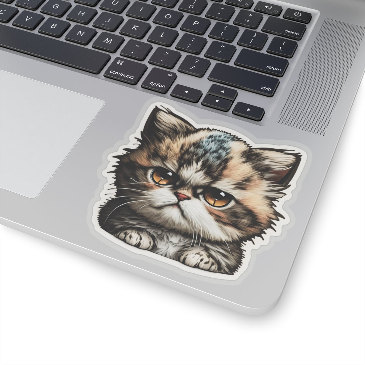 Kiss-Cut Sticker of cute funny grumpy cat kitten for your collection