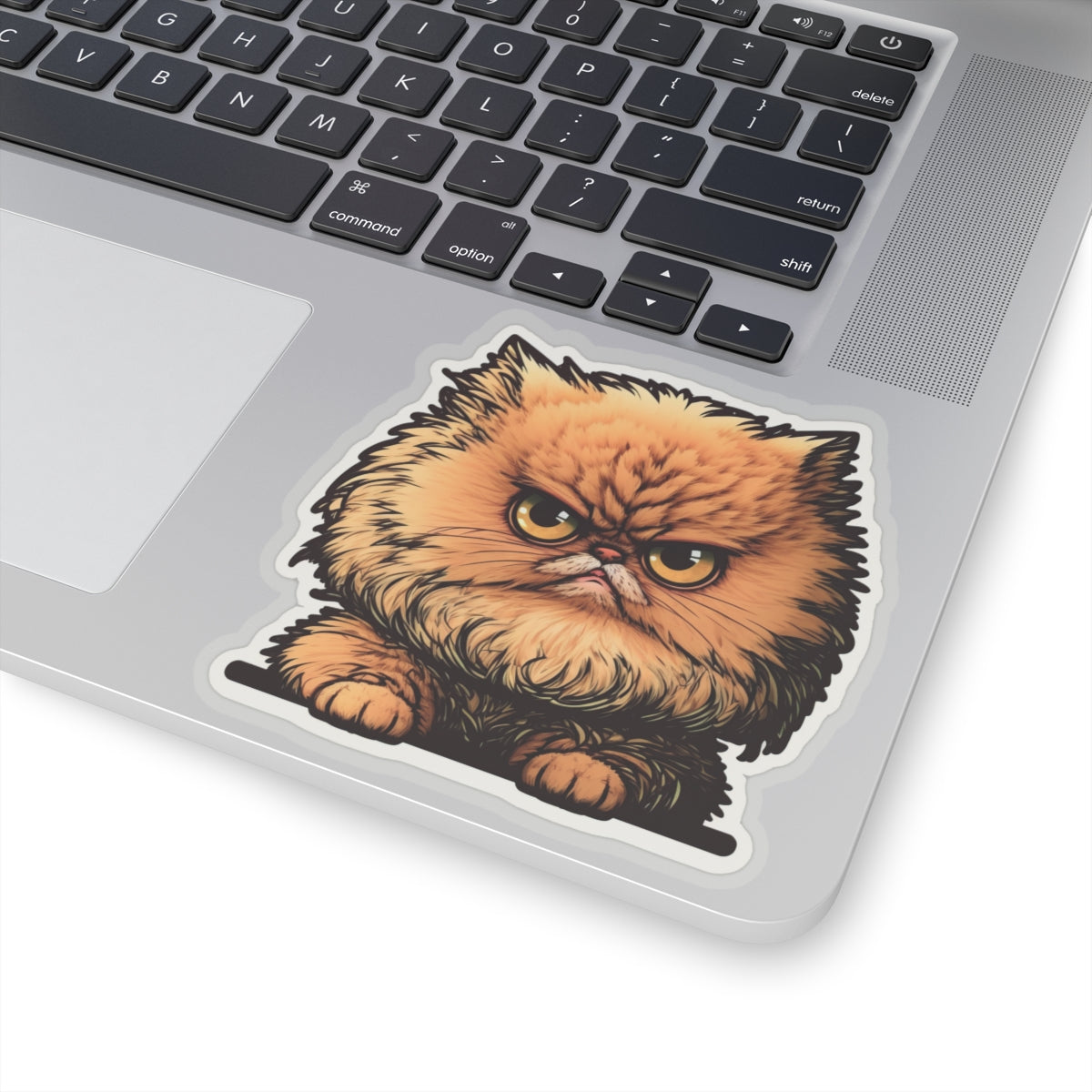 Kiss-Cut Sticker of cute funny angry cat kitten for your collection