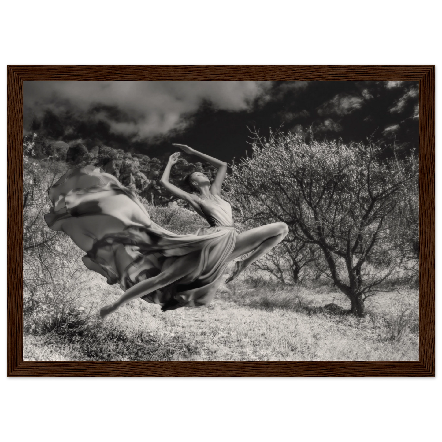 74dcd429-cfb0-45fa-a1d6-133ff14dbe59