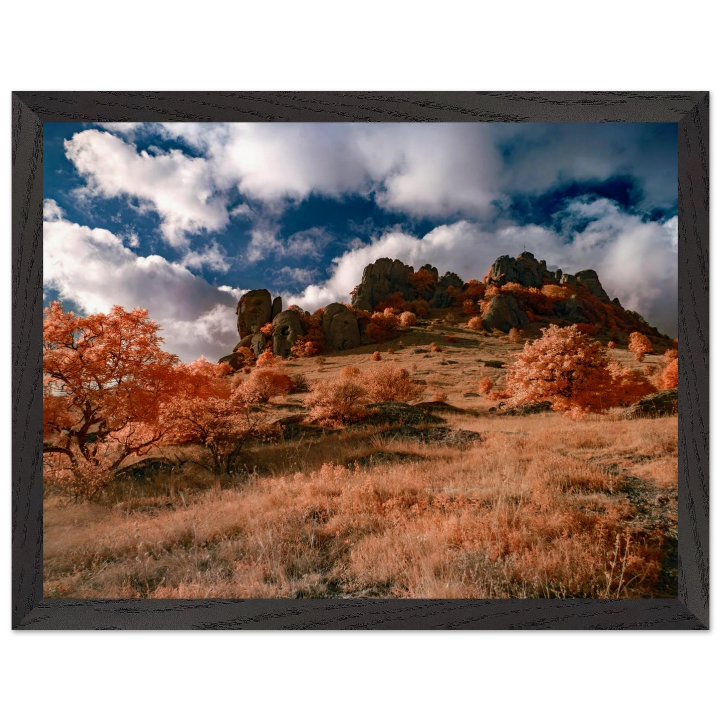 753b19ce-5438-4d84-b136-8af438029a6a