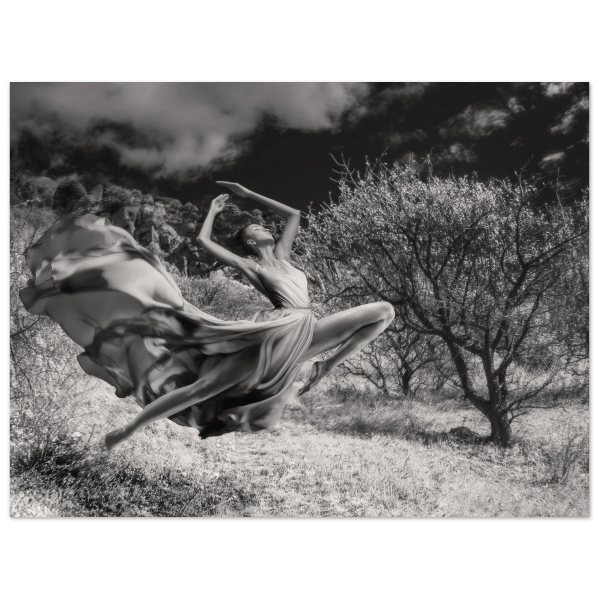 75847a60-24c8-4cd6-894e-f505d48bb5d7