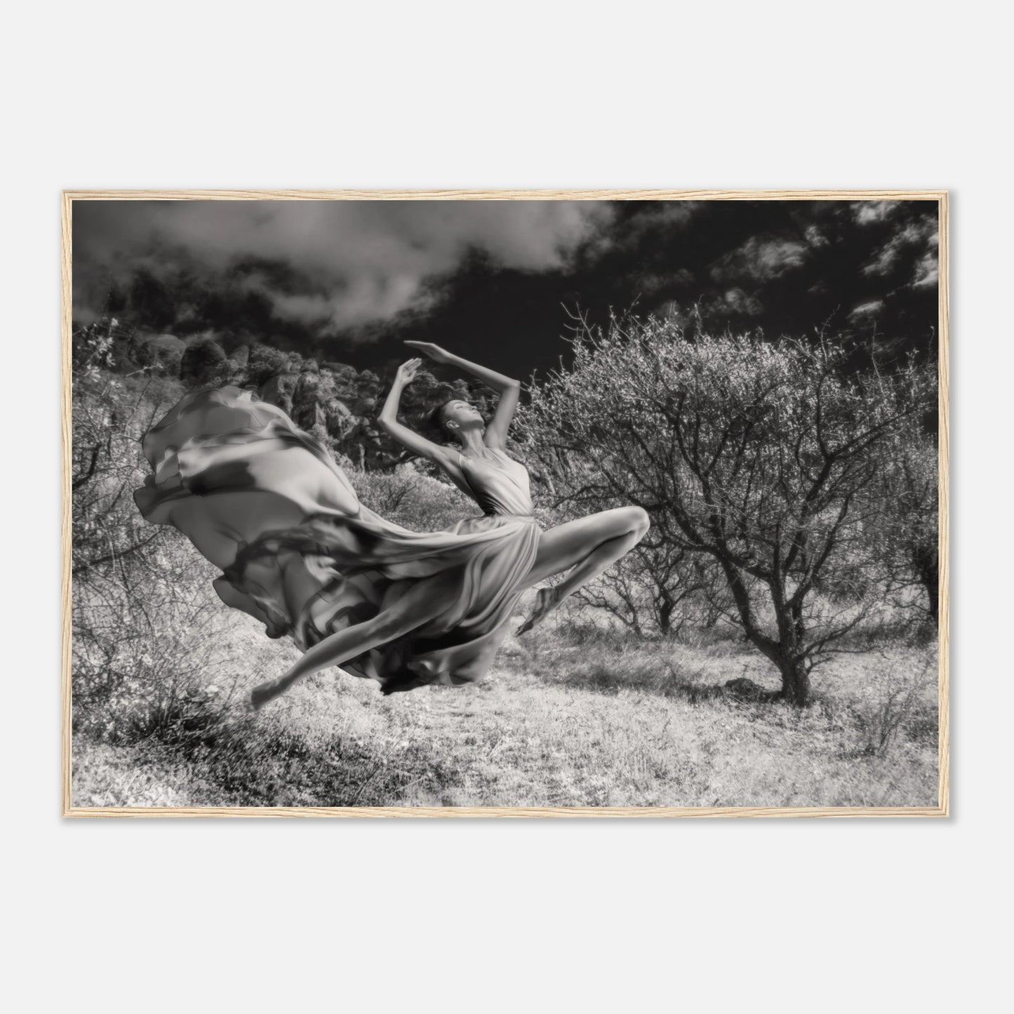 75b0856b-49f6-46a9-bf56-8863abd06e09