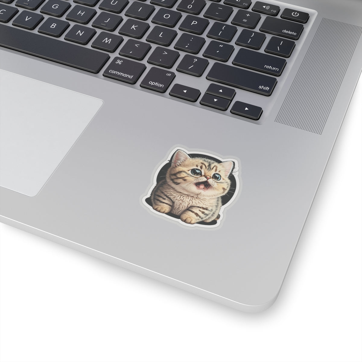 Kiss-Cut Sticker of cute funny burmilla cat kitten for your collection