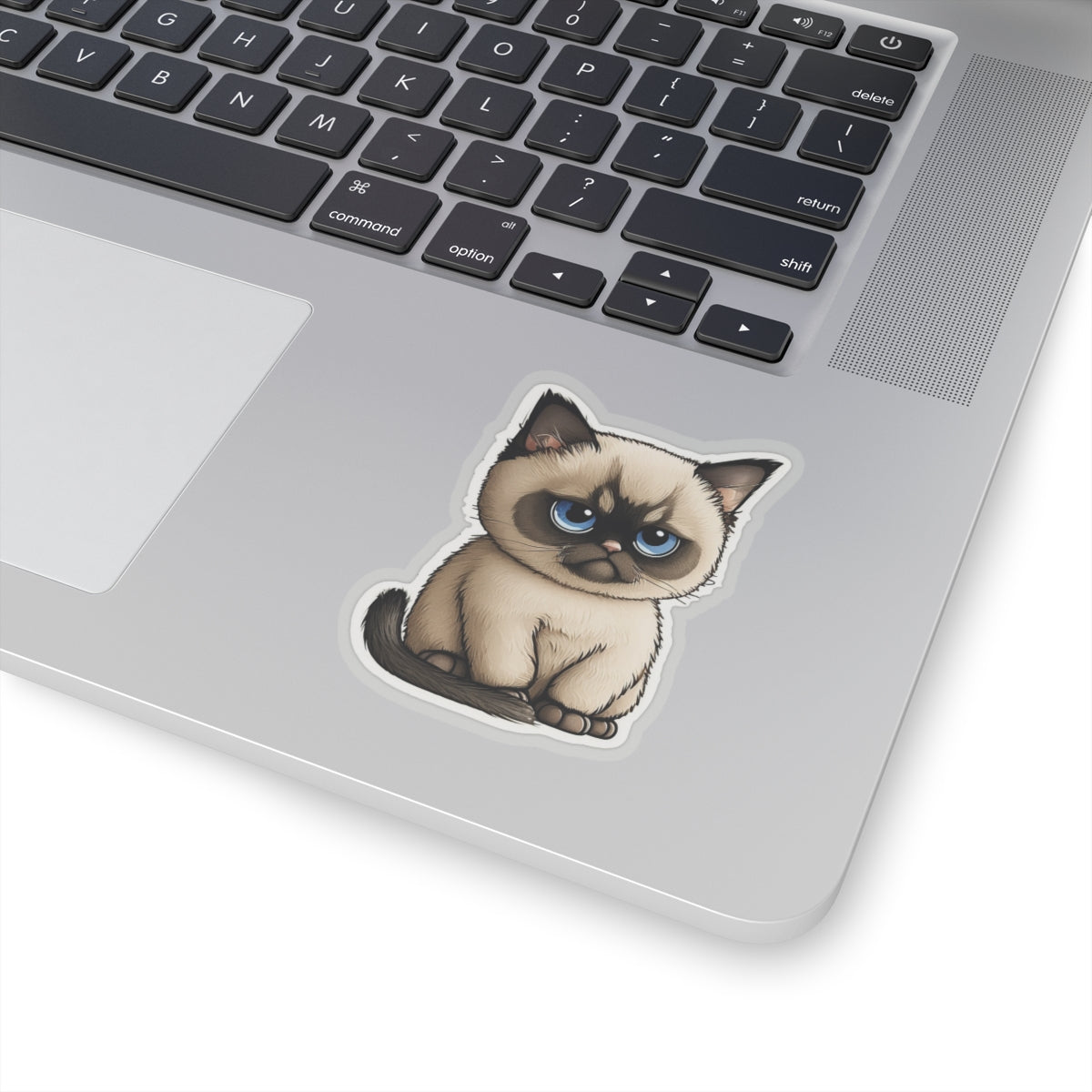 Kiss-Cut Sticker of cute funny cat kitten for your collection