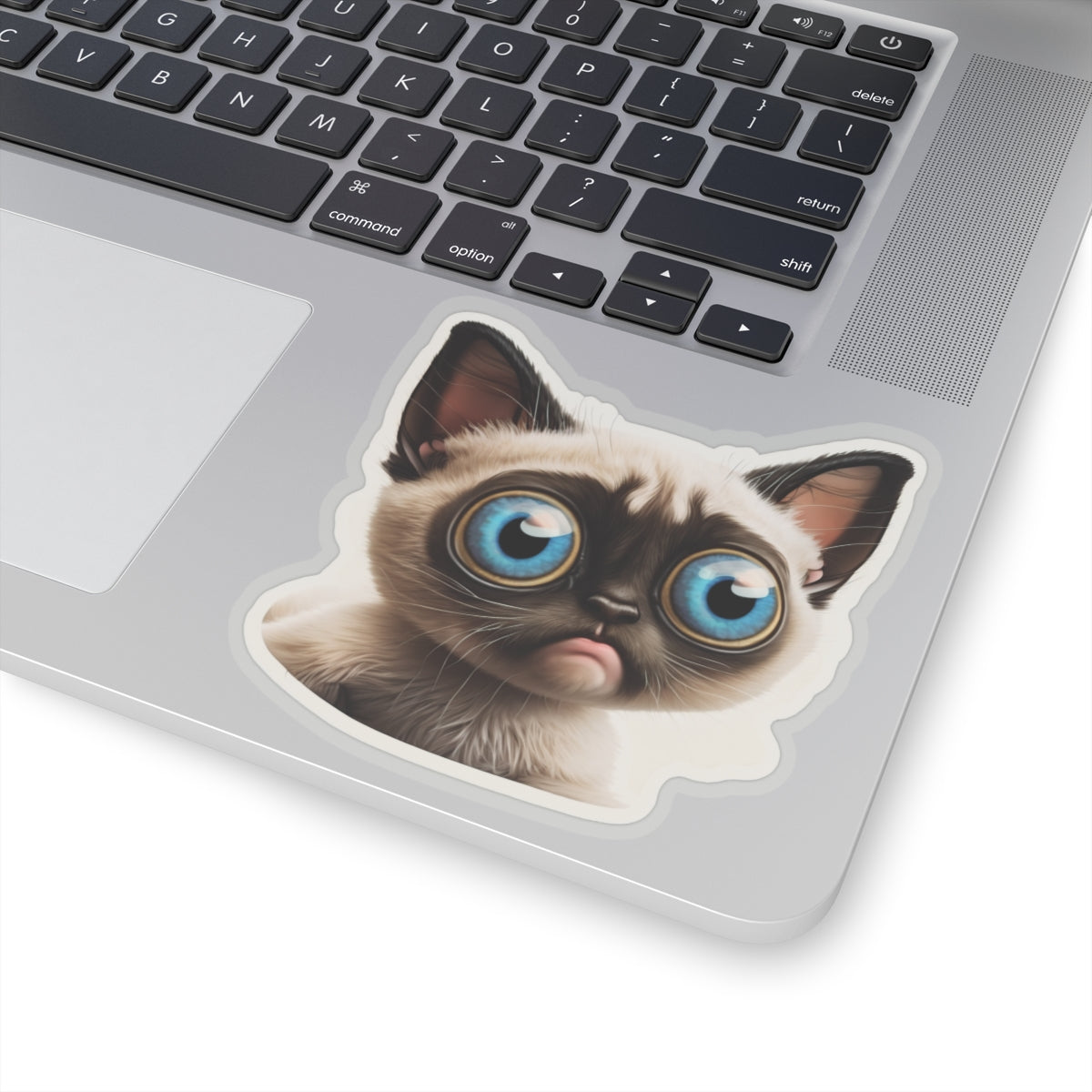 Kiss-Cut Sticker of cute funny cat kitten for your collection