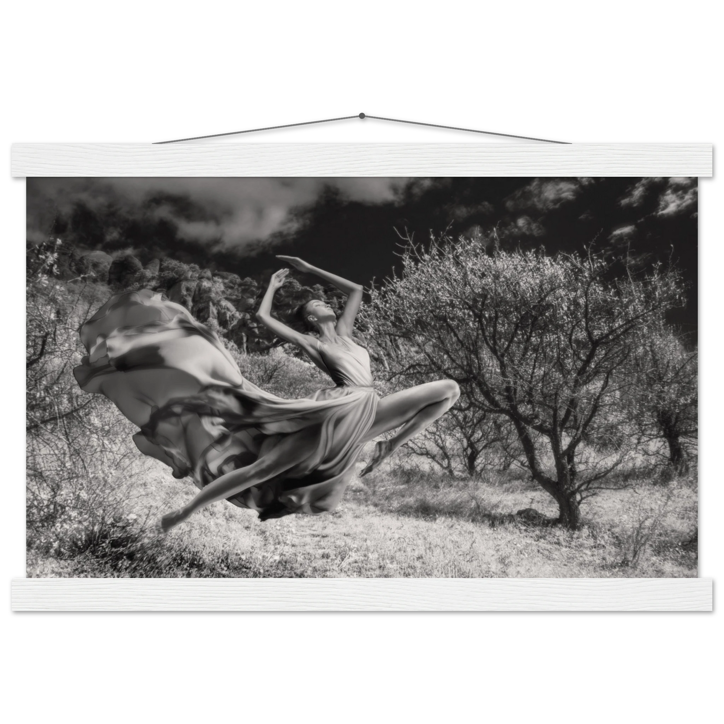 78fccf49-2597-4cea-9f99-5ed418f1bff0