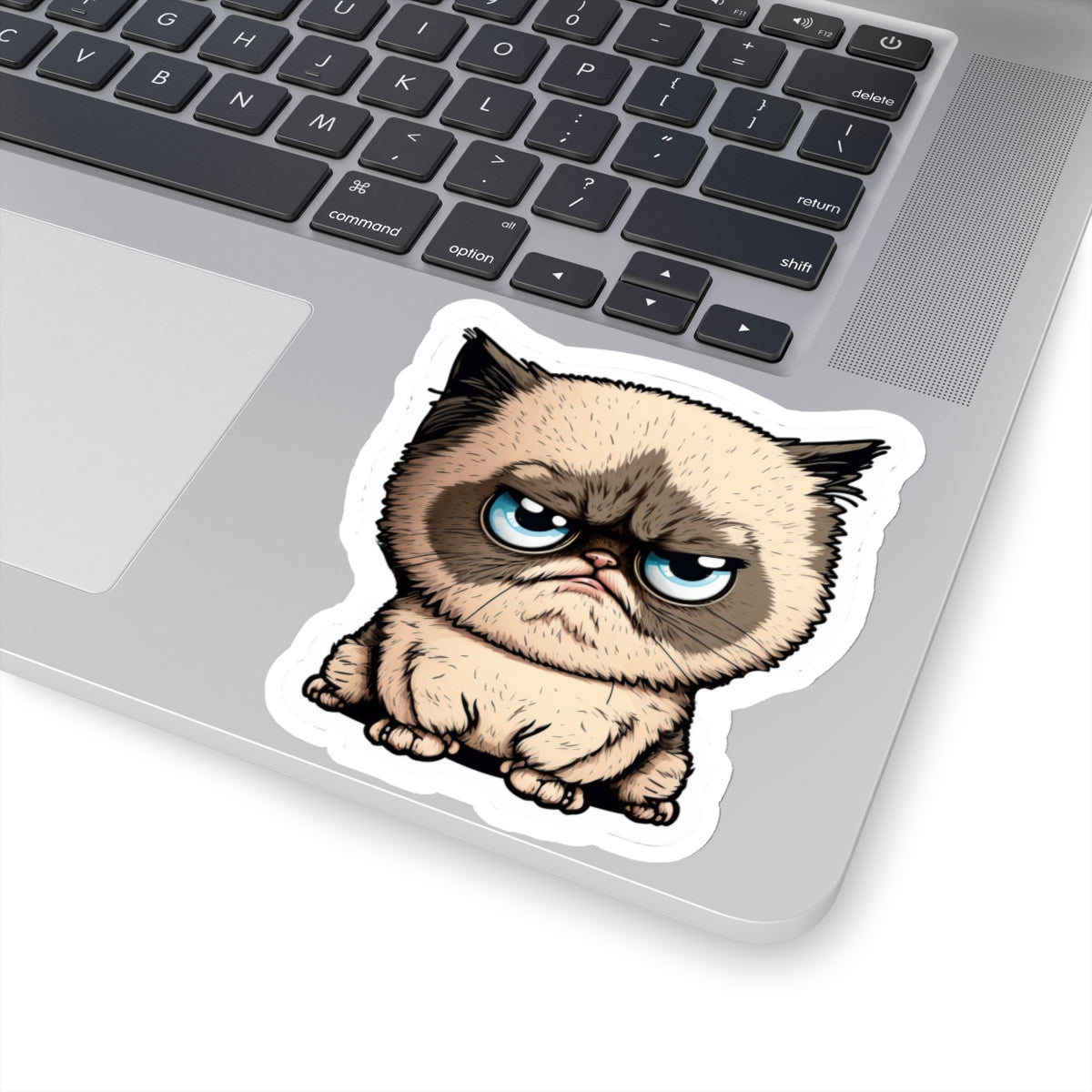 Kiss-Cut Sticker of cute funny cat kitten for your collection
