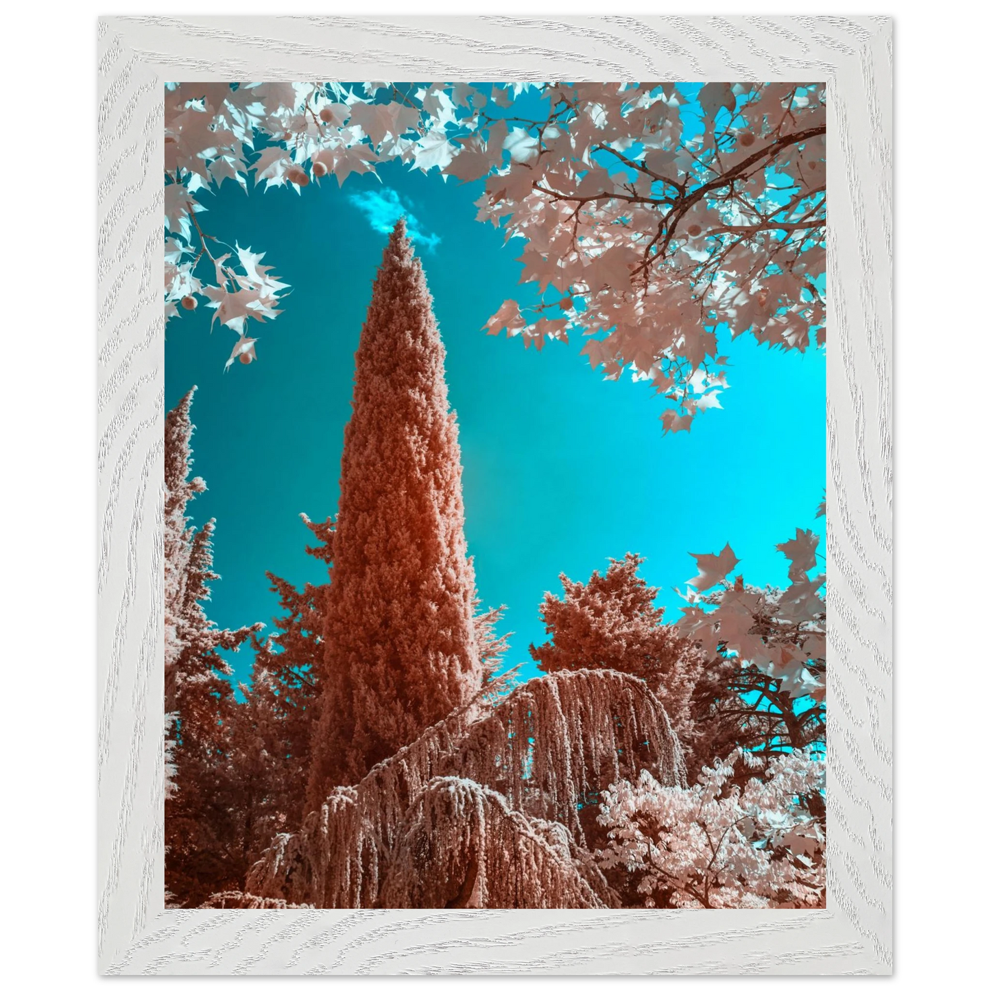 79f5d565-2433-4fa2-bfca-f85d8fd30028