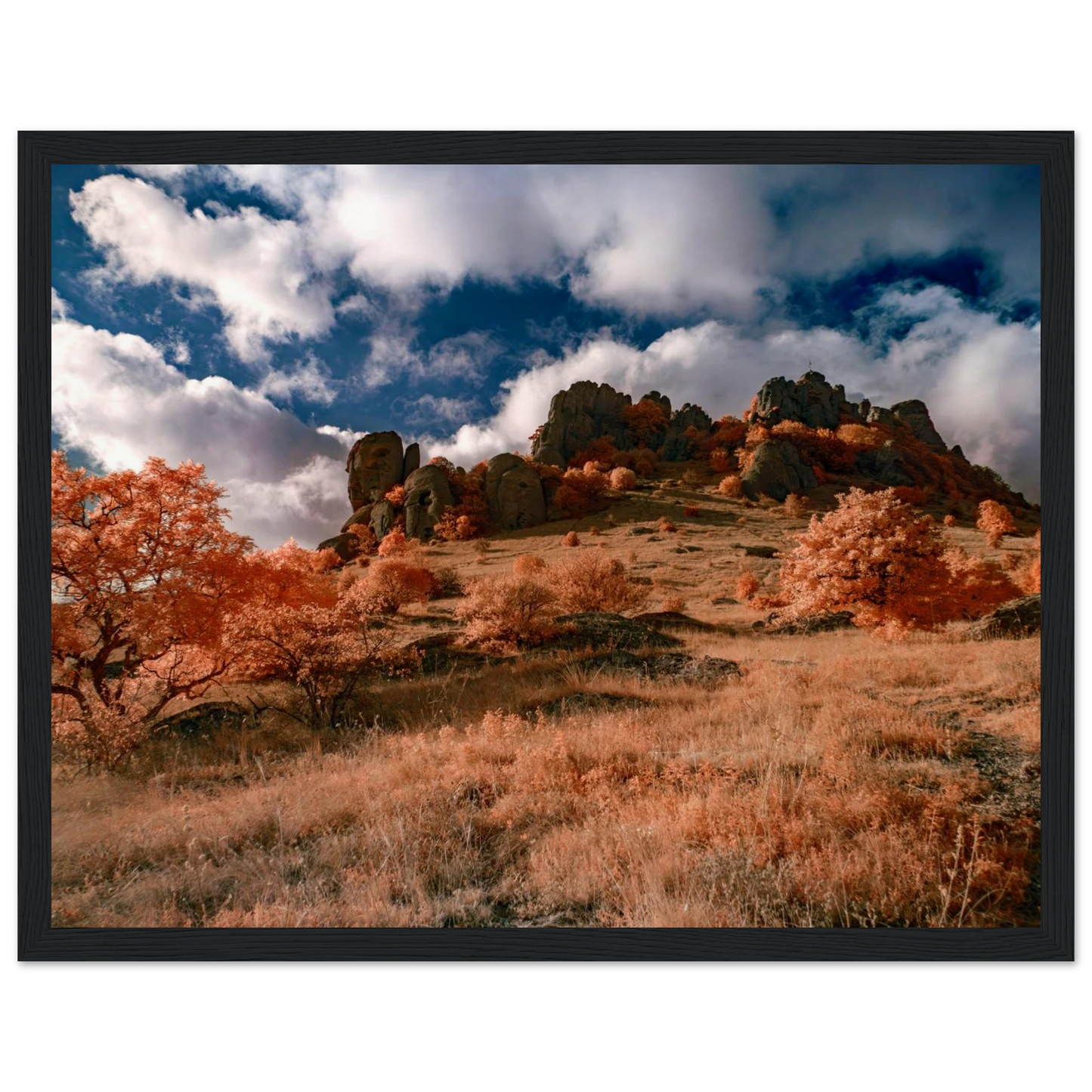 7a08d56e-8c93-4253-acc1-ba65e74c41bf