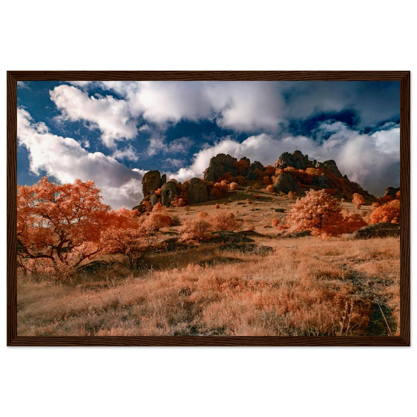 7ba3d0a9-d220-4931-aaf9-4b754a3697f5