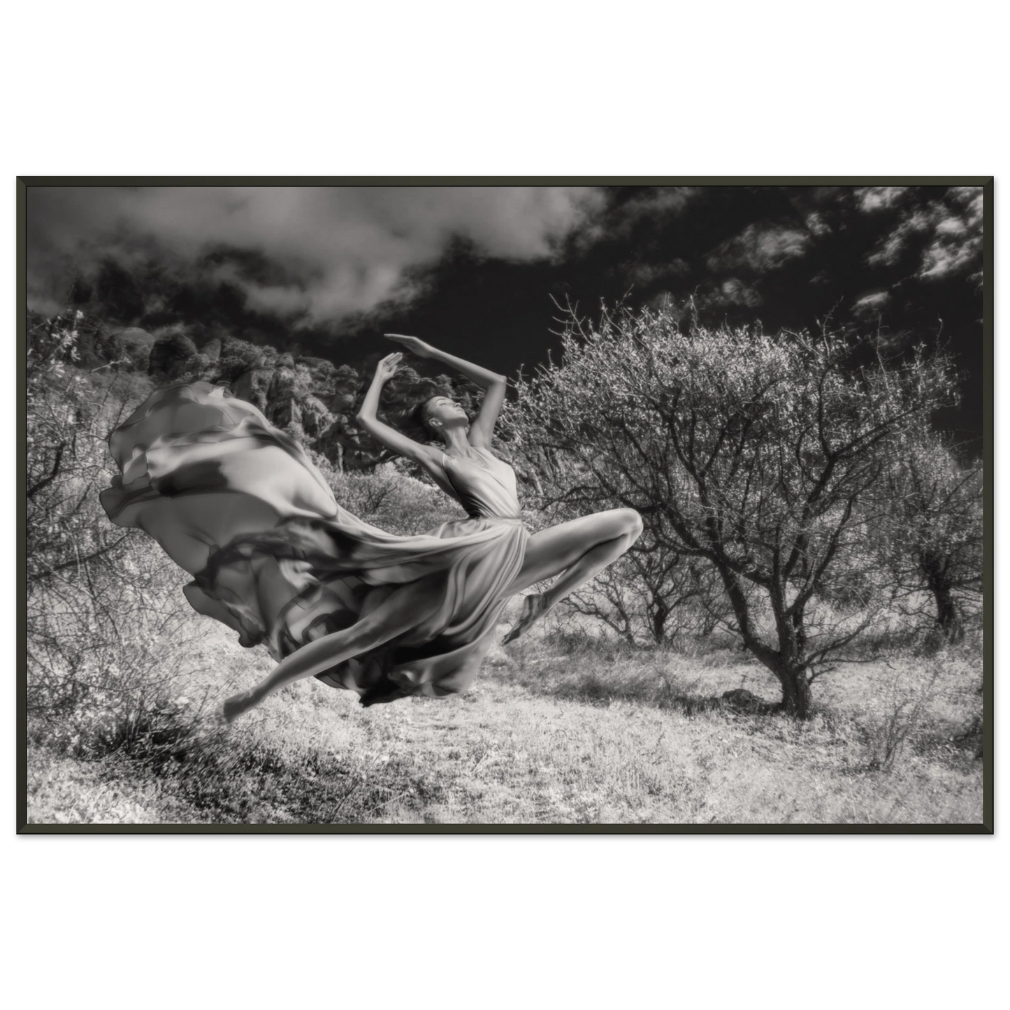 7eb13291-97c5-4f0b-a2e9-5c44b4ae5d93