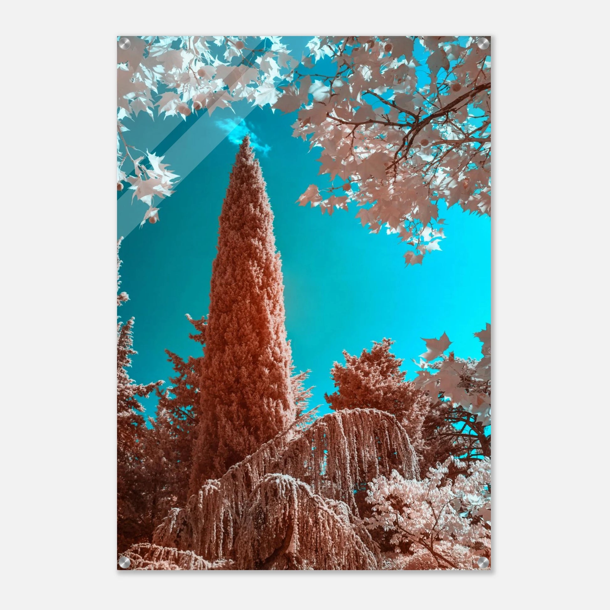 7fe9875b-bcc9-4ca6-8481-96ab75f3d450