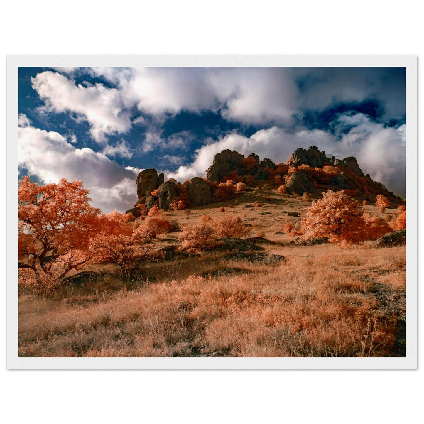 80df00ab-57c2-44c3-b39a-1e3864b7862d