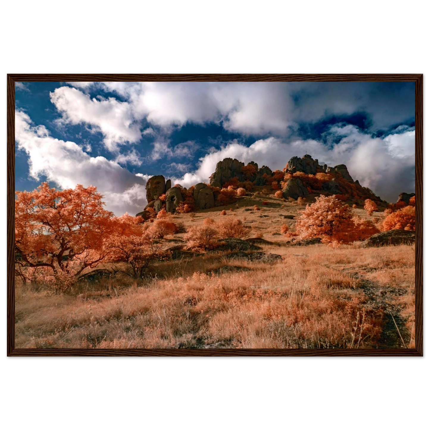 81ad465b-b5c2-494c-8b38-c4319decafe3