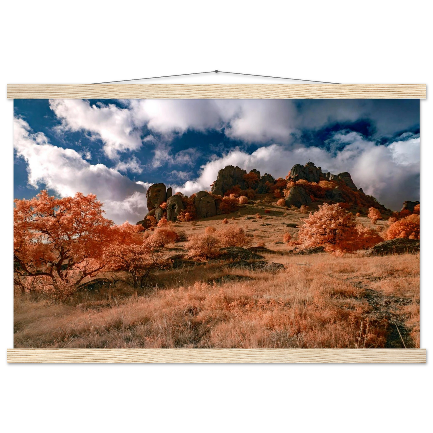 82b46937-d388-4783-a85f-833280b61510