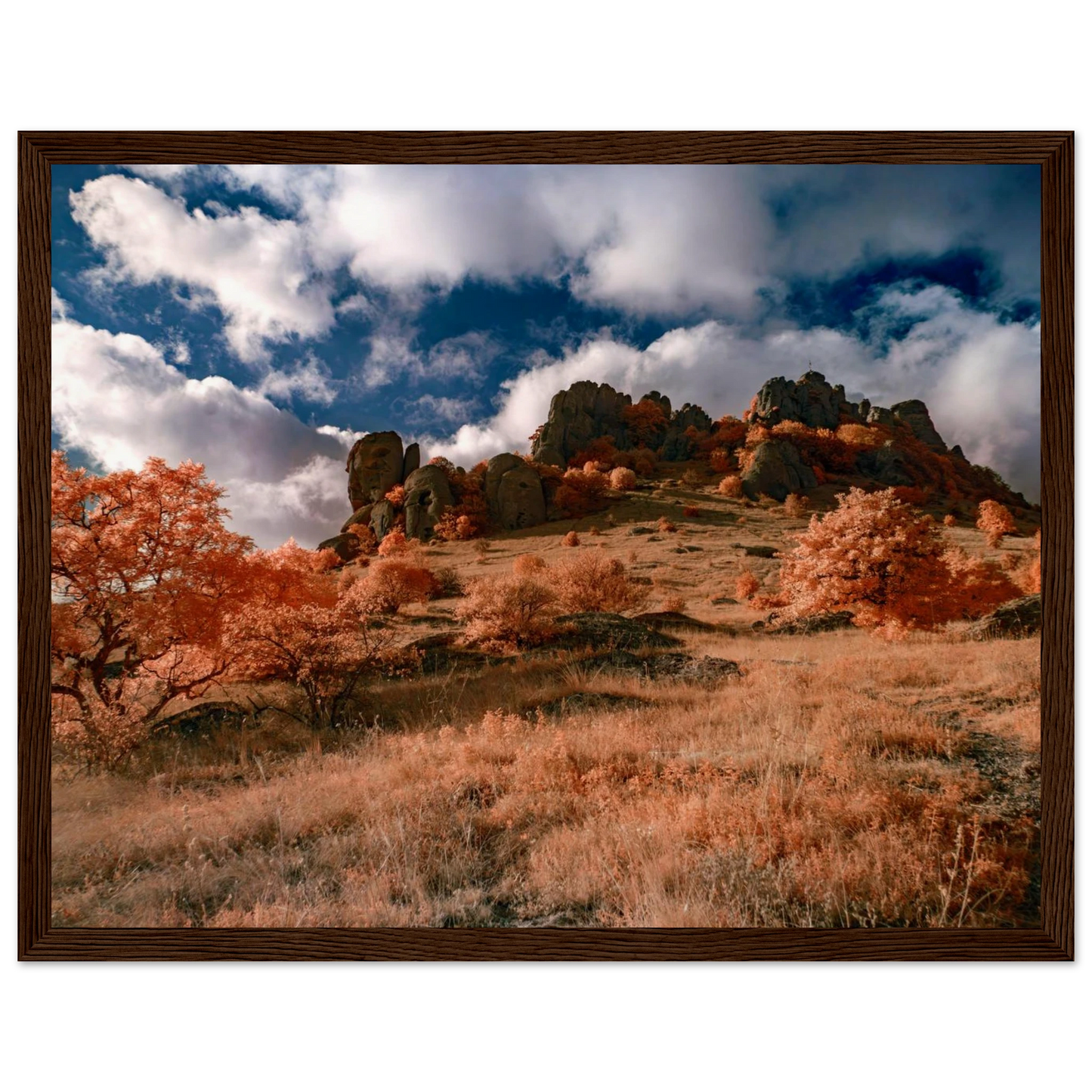 8480307c-a2f7-4d08-951a-4847ed147747