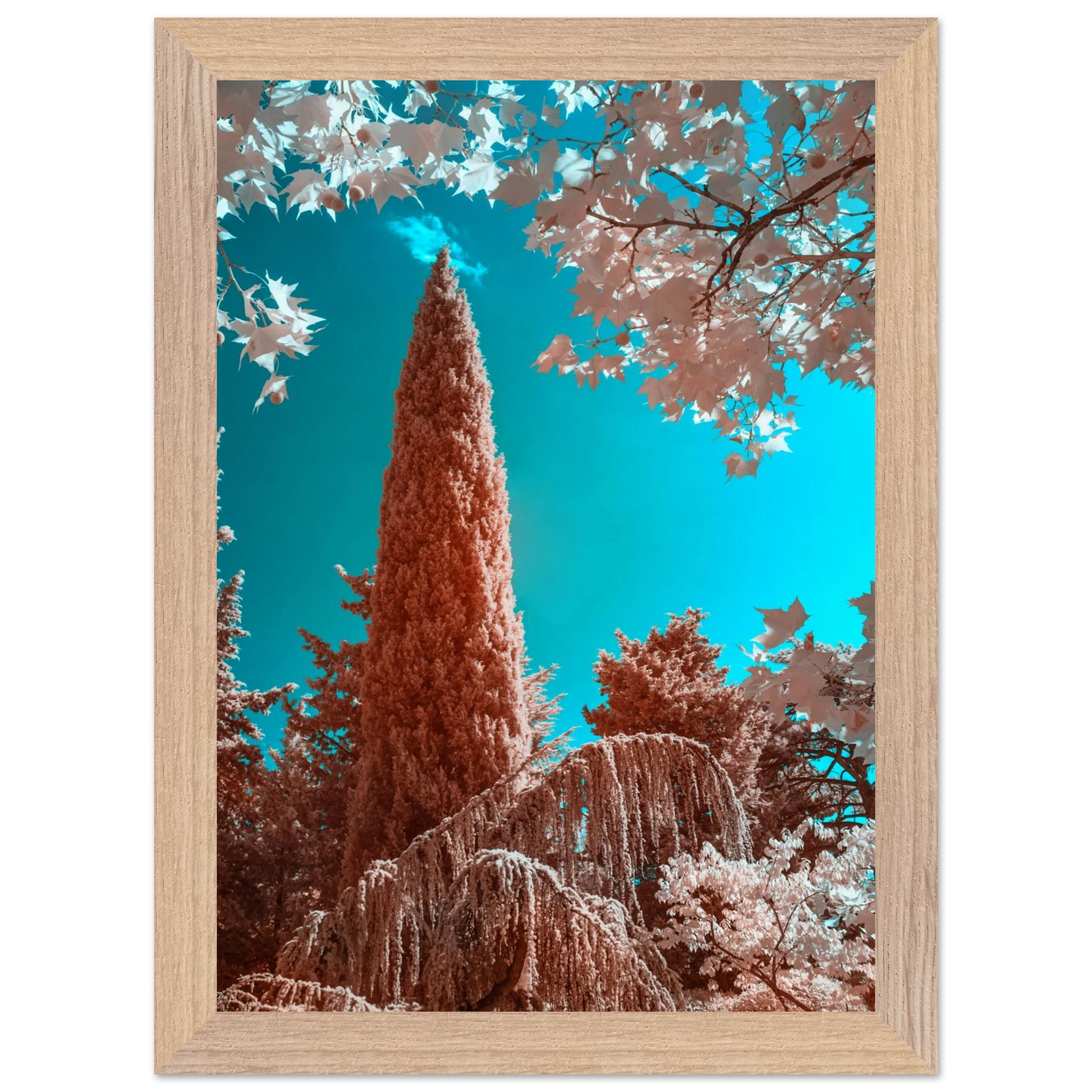 84944857-0faa-42cf-89c0-816c1dec5b6e