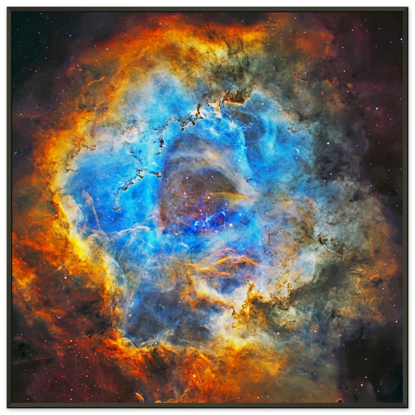 84a9704d-0847-4010-b7d5-c4b6d386c624