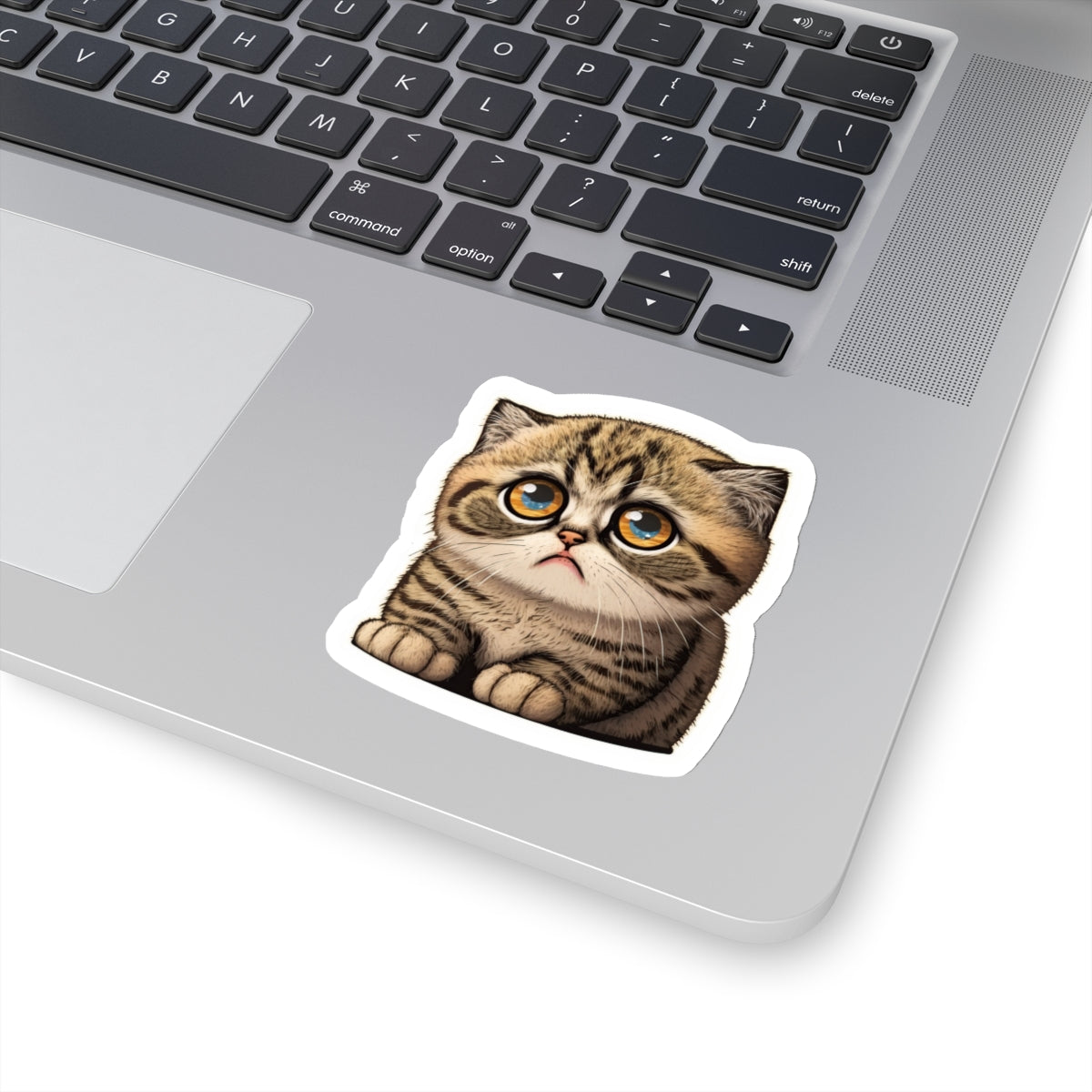 Kiss-Cut Sticker of cute funny cat kitten  for your collection