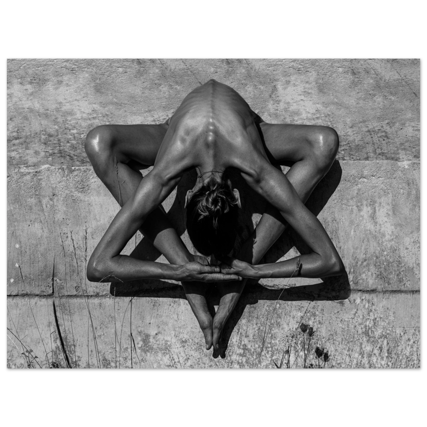 859733db-6bdd-4c7f-8c86-03fc90de9783