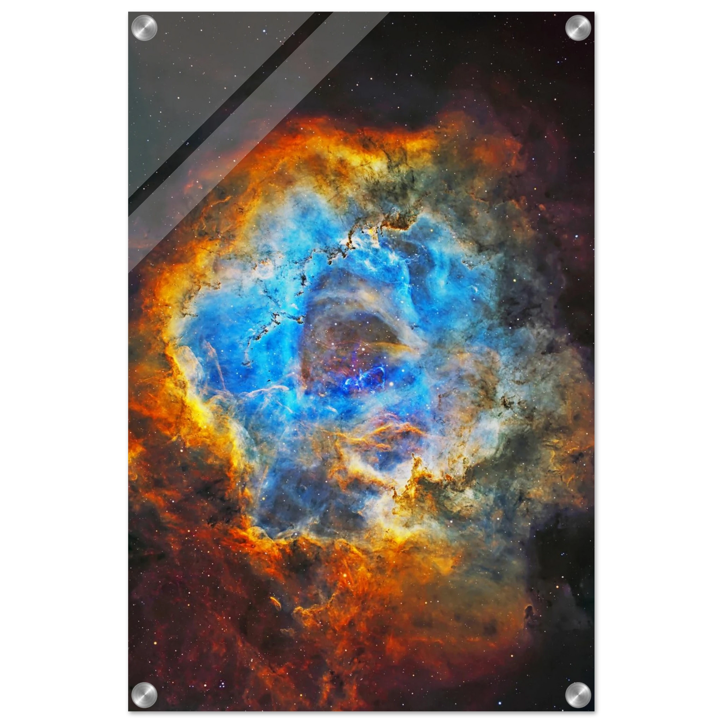 85a52278-1486-4acd-a1ab-3c802eb743ee