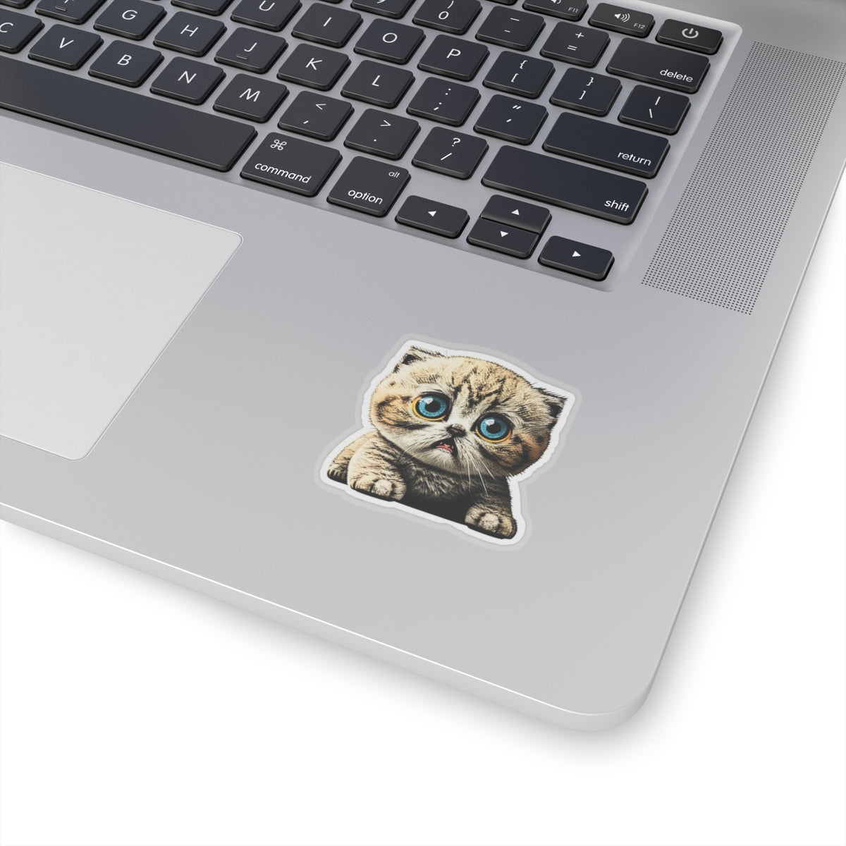 Kiss-Cut Sticker of cute funny cat kitten for your collection