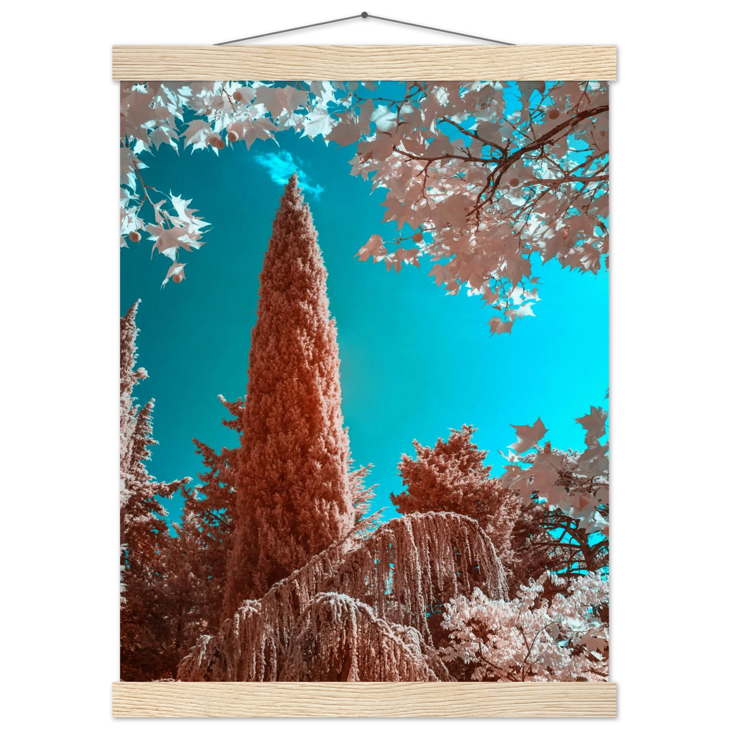 87666279-2c95-4fa5-bf59-f211066a90dc