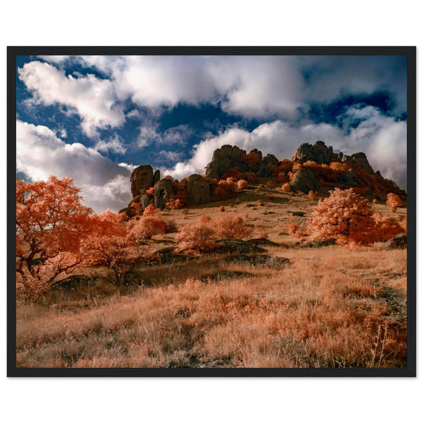 8802381d-62ad-4afc-ada5-b111180b5985