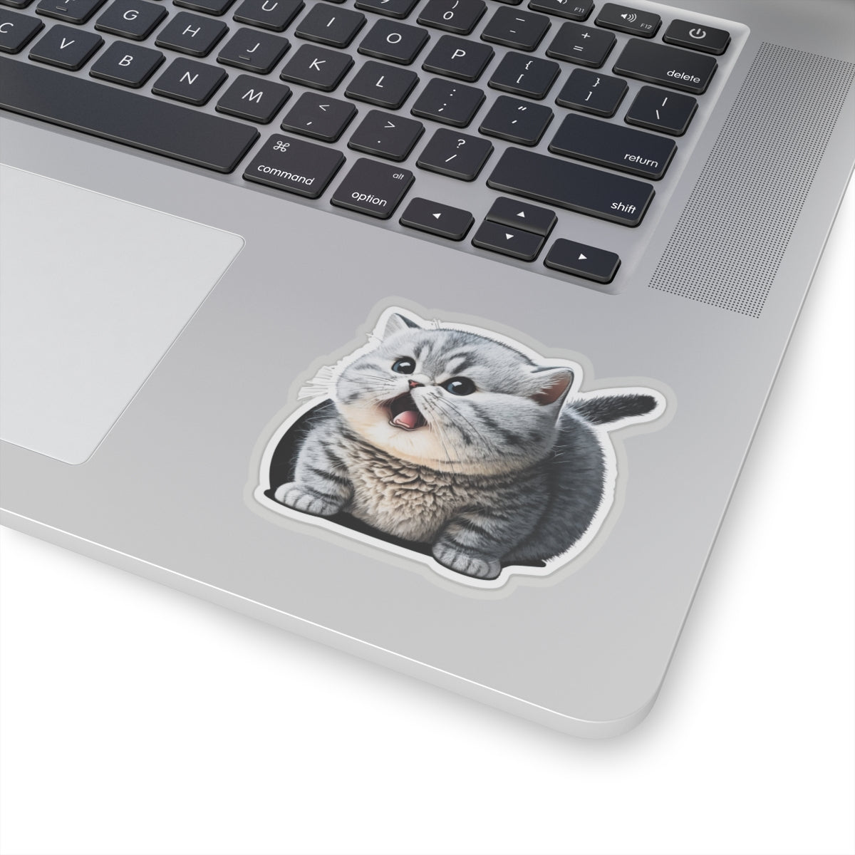 Kiss-Cut Sticker of cute funny burmilla cat kitten for your collection