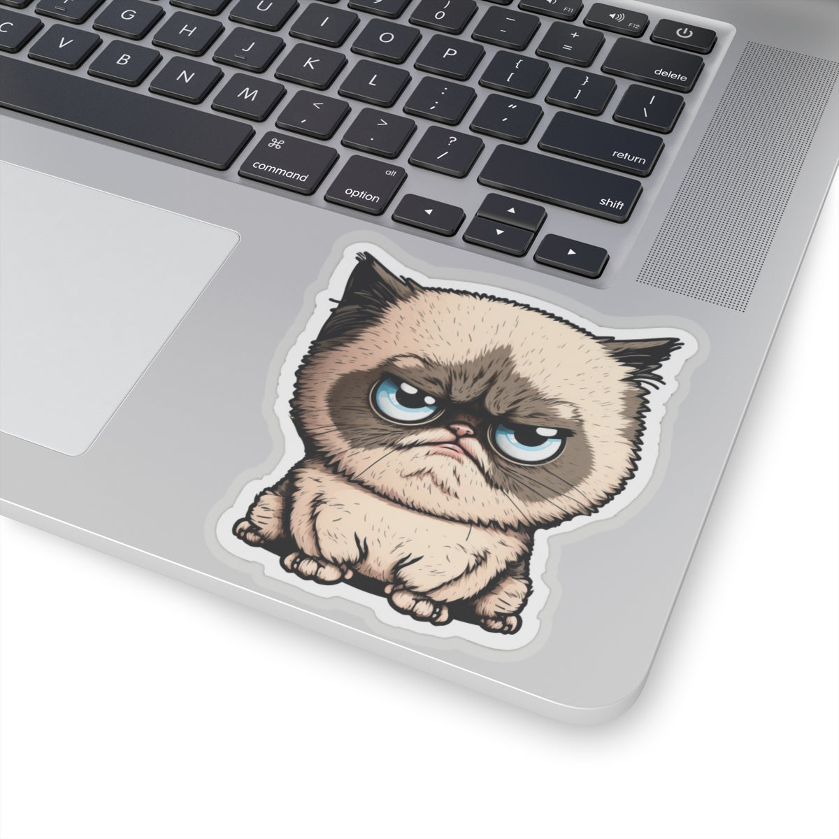 Kiss-Cut Sticker of cute funny cat kitten for your collection