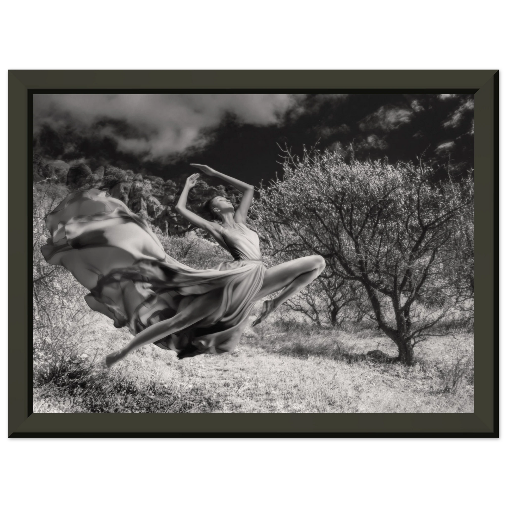 8bc98206-f79d-4e1e-9ed7-145e219dce0b