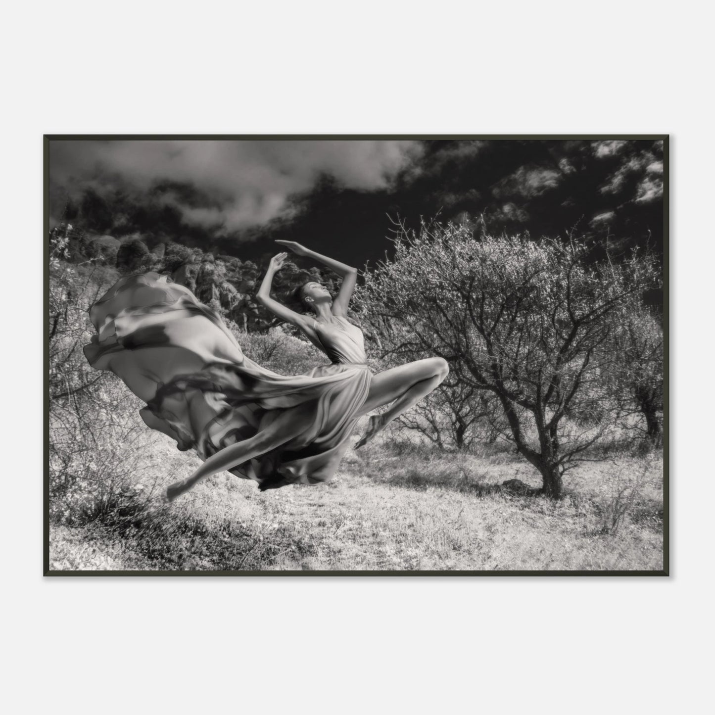 8c4f4c6d-82e1-4c9b-b77f-e14b76ee6d75