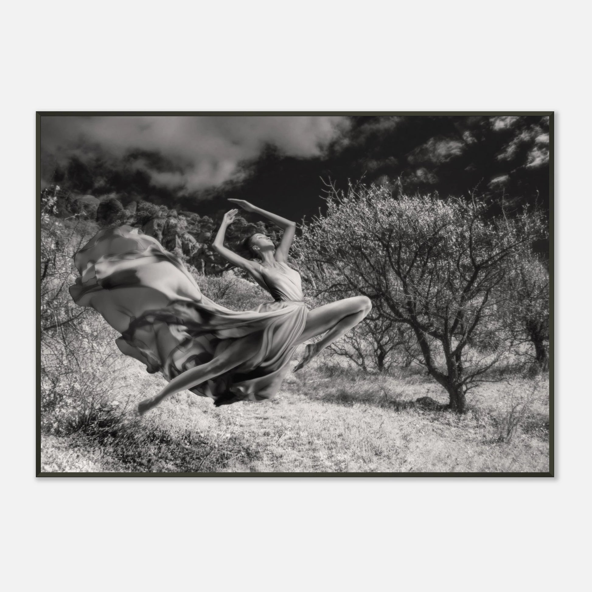 8c4f4c6d-82e1-4c9b-b77f-e14b76ee6d75