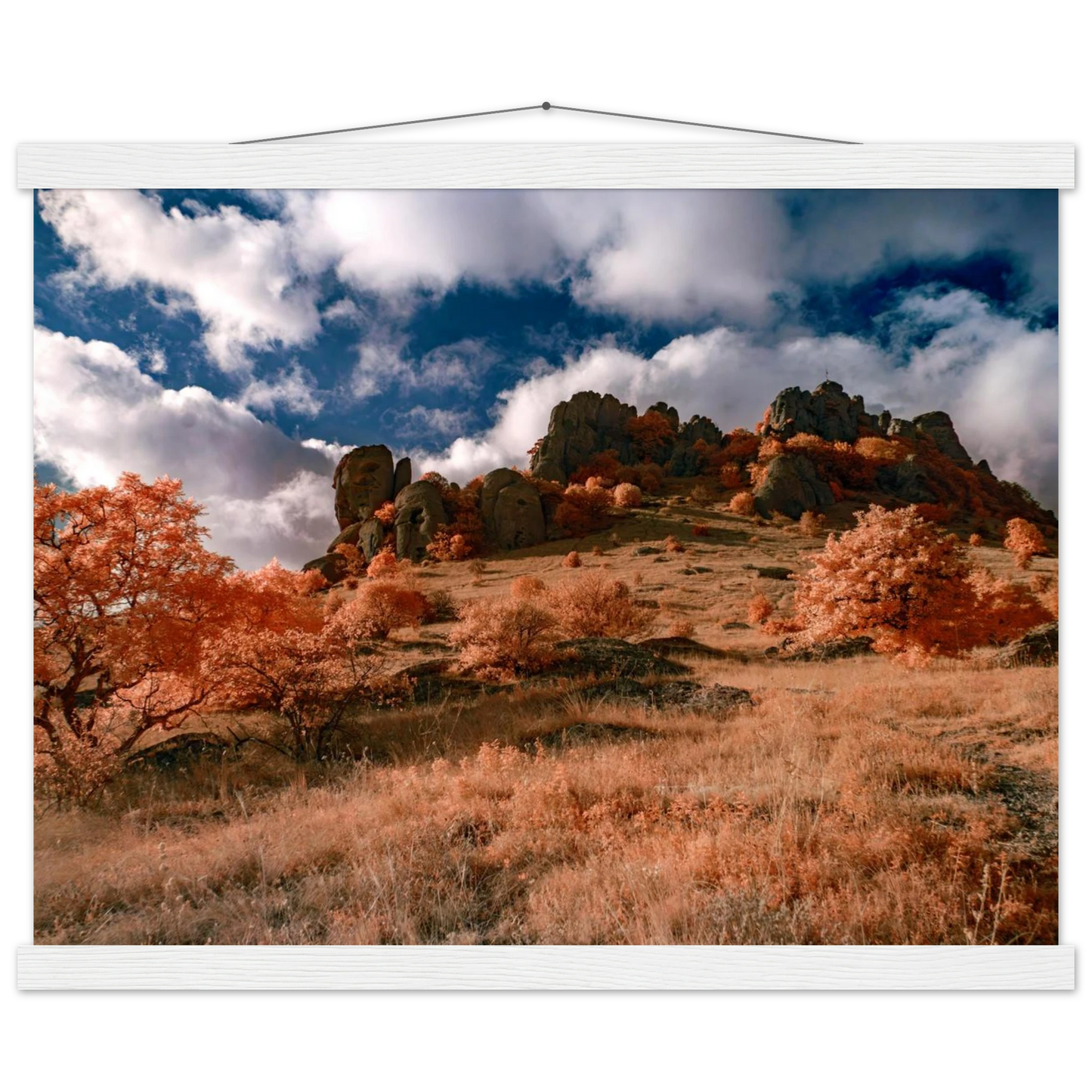 8c5f11fd-6246-4241-988f-6dd3be742447