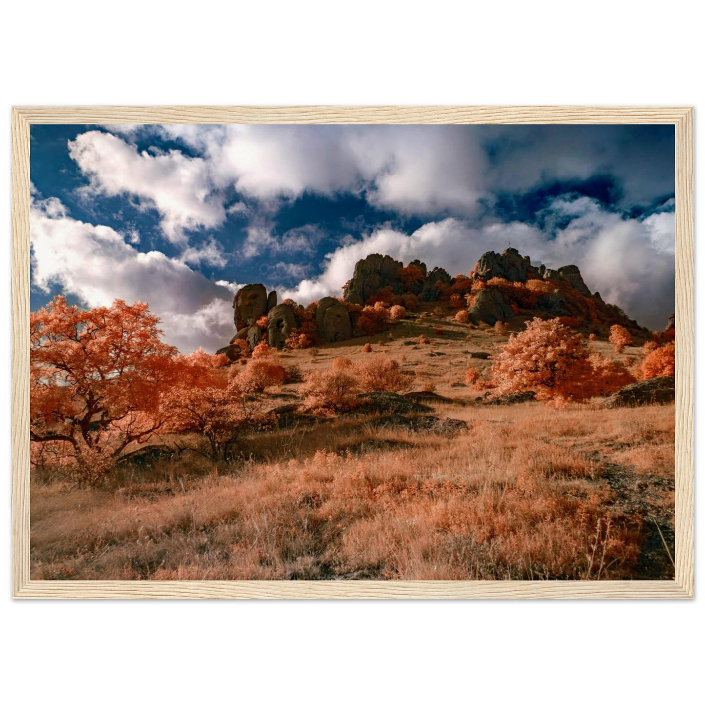 8c87ec98-17d7-49b4-b19c-353e93e56d35