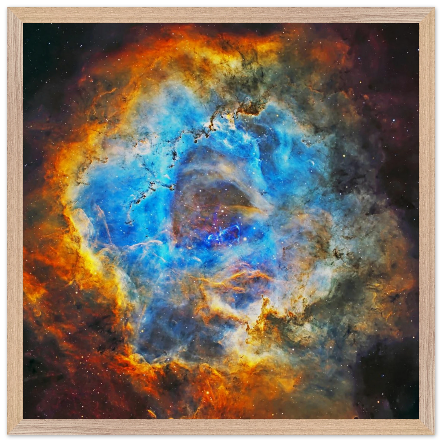 8d5d559e-242f-409f-8355-bda908b74ae9