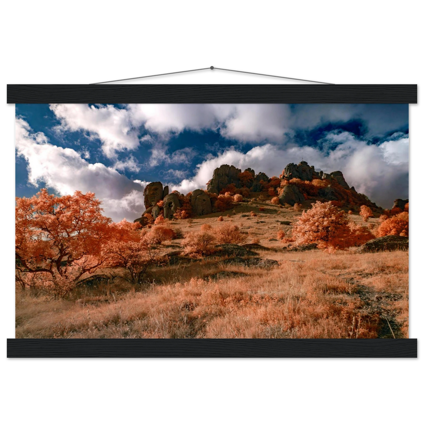 8fba183f-a0fb-4f1f-a9dc-043f5929fff8