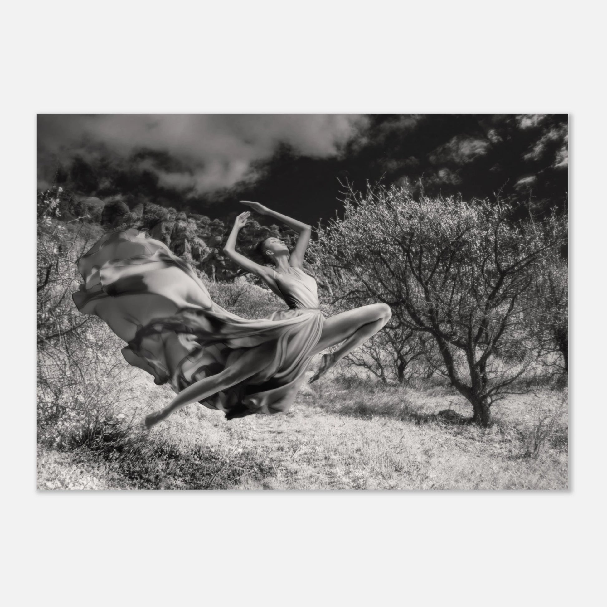 9082087b-0af3-4a63-ad38-33c7151b91b4