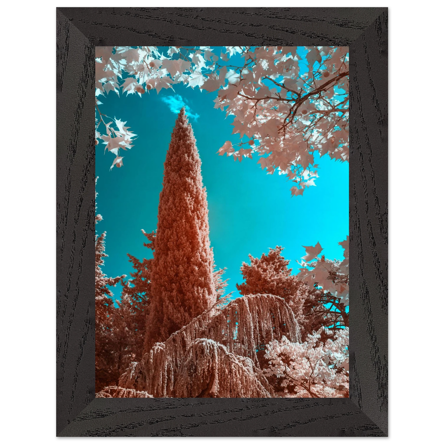 91ed17d4-aa22-4b2c-b486-1644b49fb76a