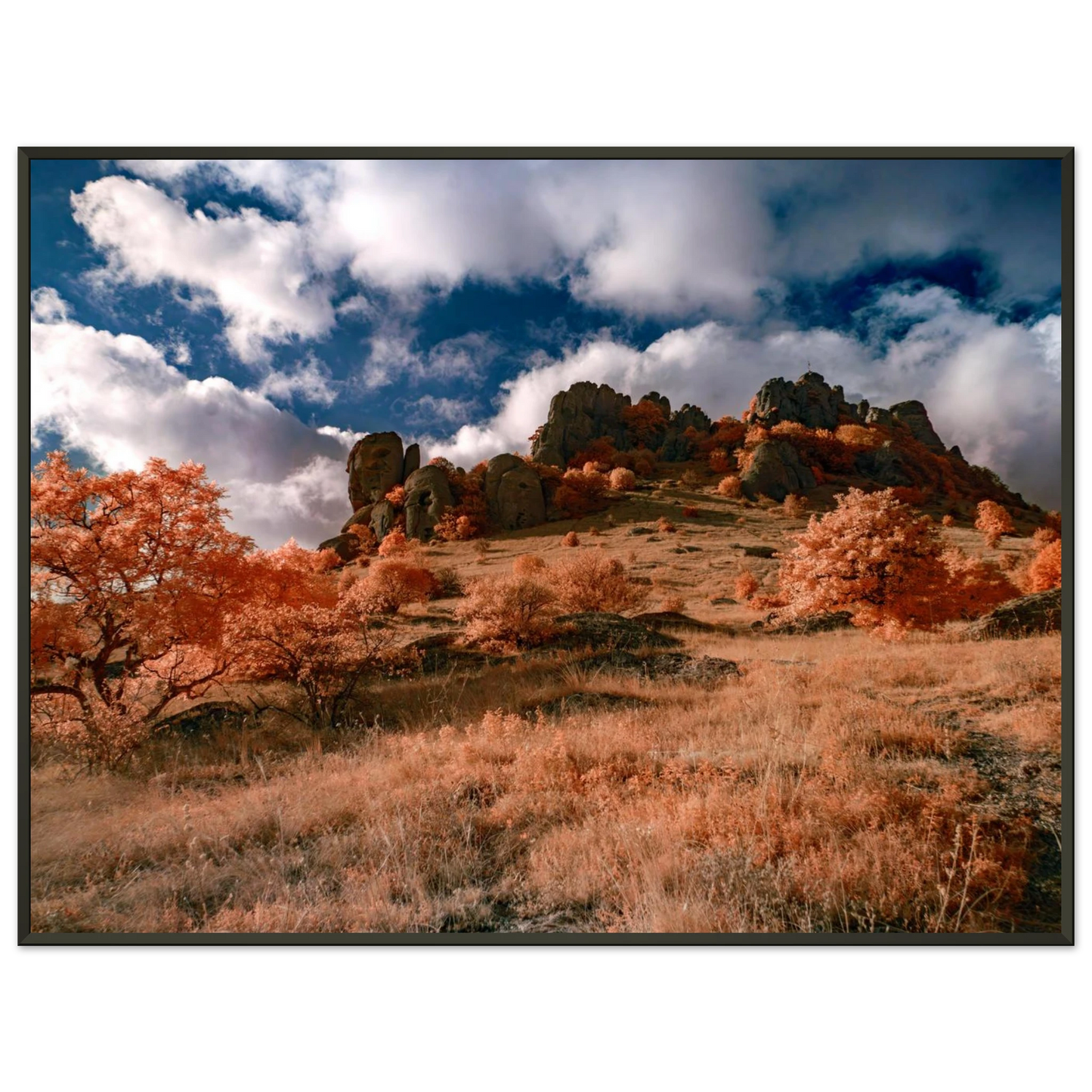 91fad2c5-6f5f-4550-a1ea-7bae76ef0b3e