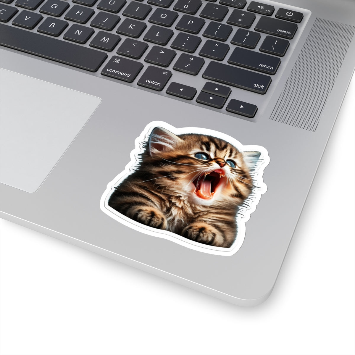 Kiss-Cut Sticker of cute funny golden chinchilla cat kitten for your collection