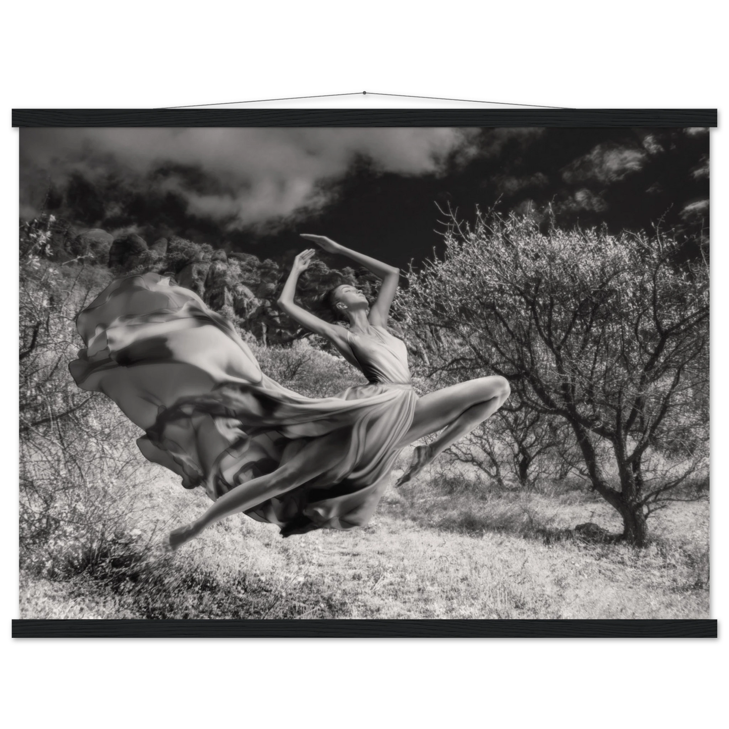 92a9ac9a-fce4-415b-b135-d66edc8d5b0a