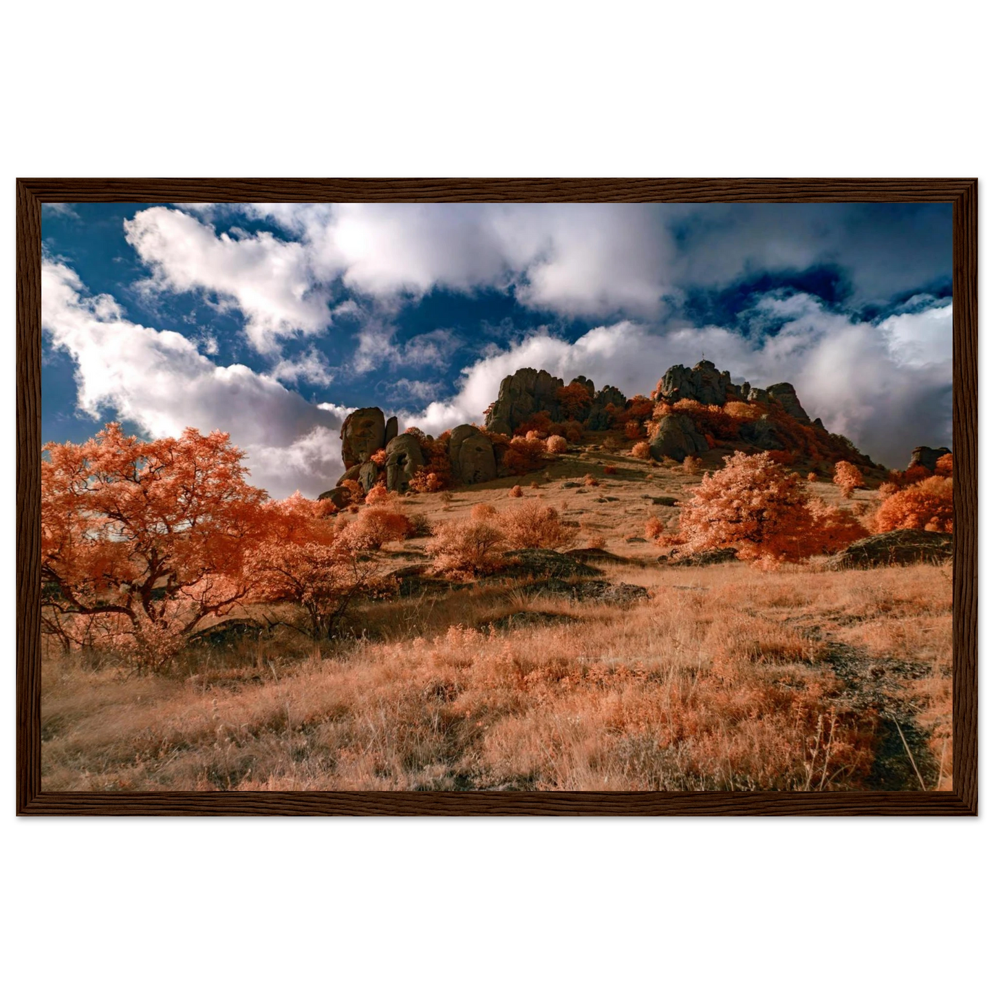 943bf67f-f458-4d5a-8dcf-2eaafa36227f